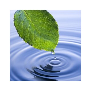 Pack Pesticides (349 paramètres accrédités)