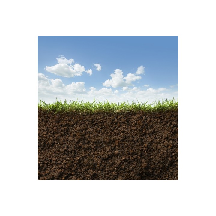 Menu ISDI (Arrêté du 12/12/2014)